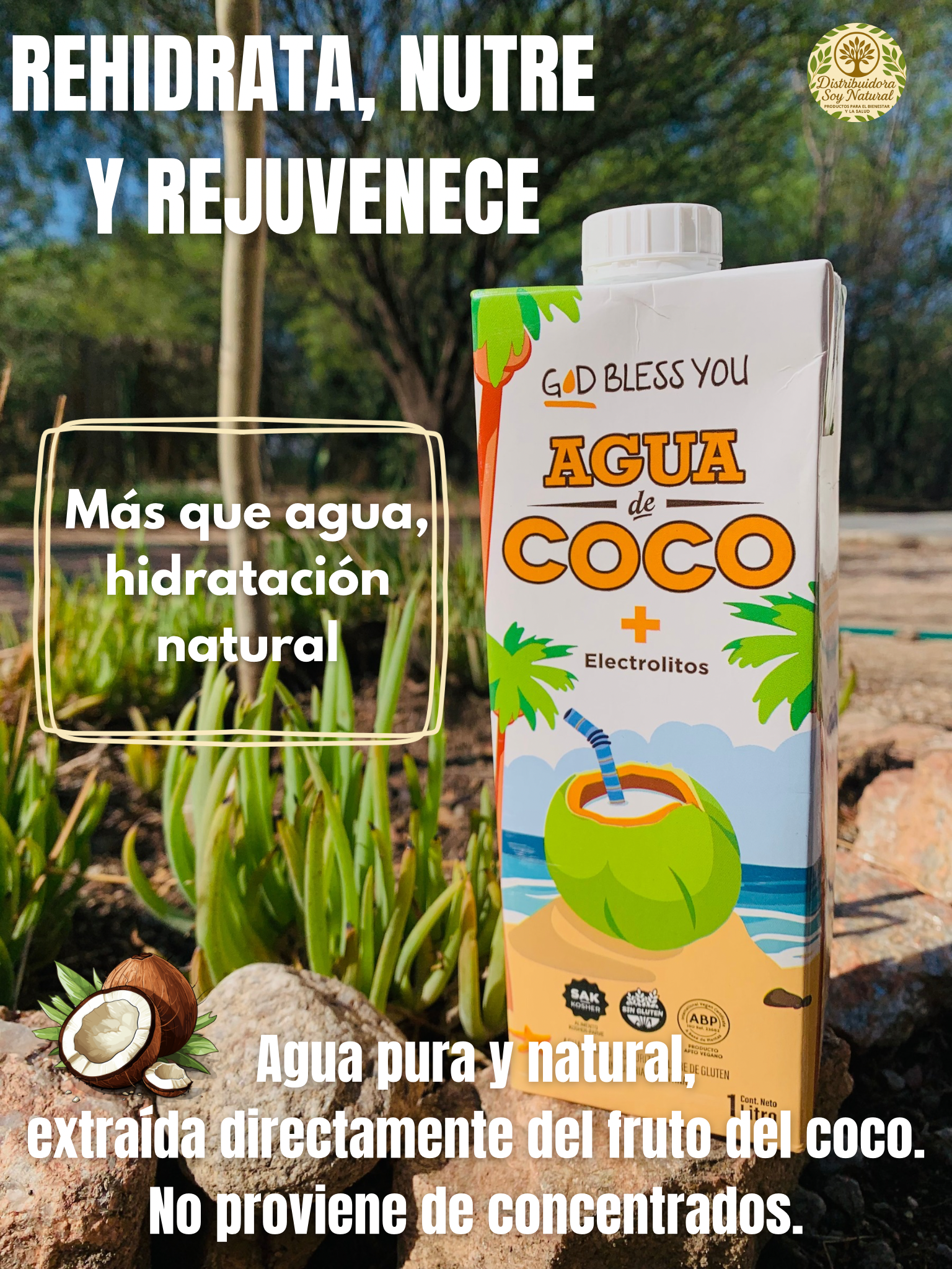 Agua de Coco x 1L
