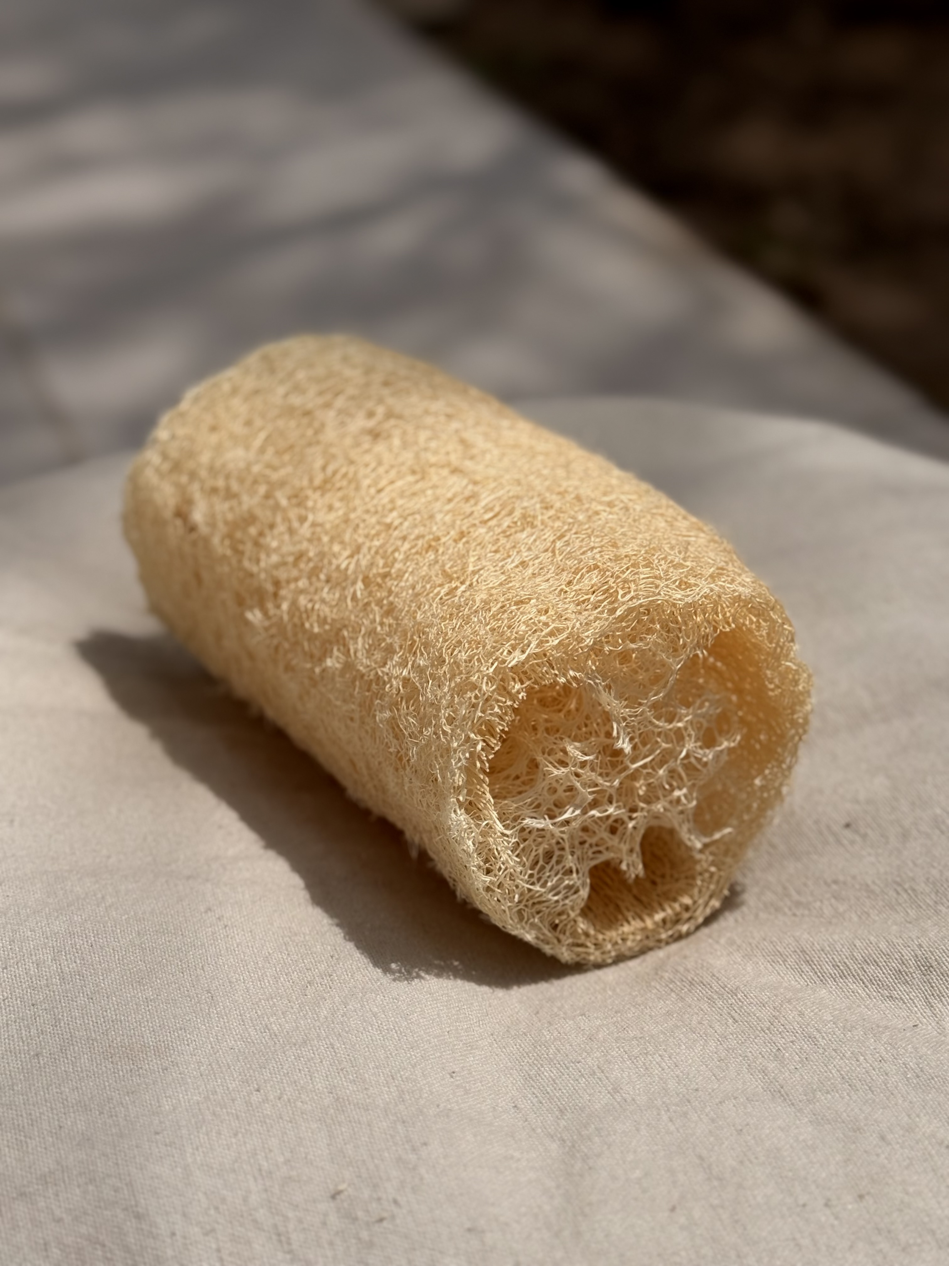 Esponja Biodegradable de Ducha (Luffa)