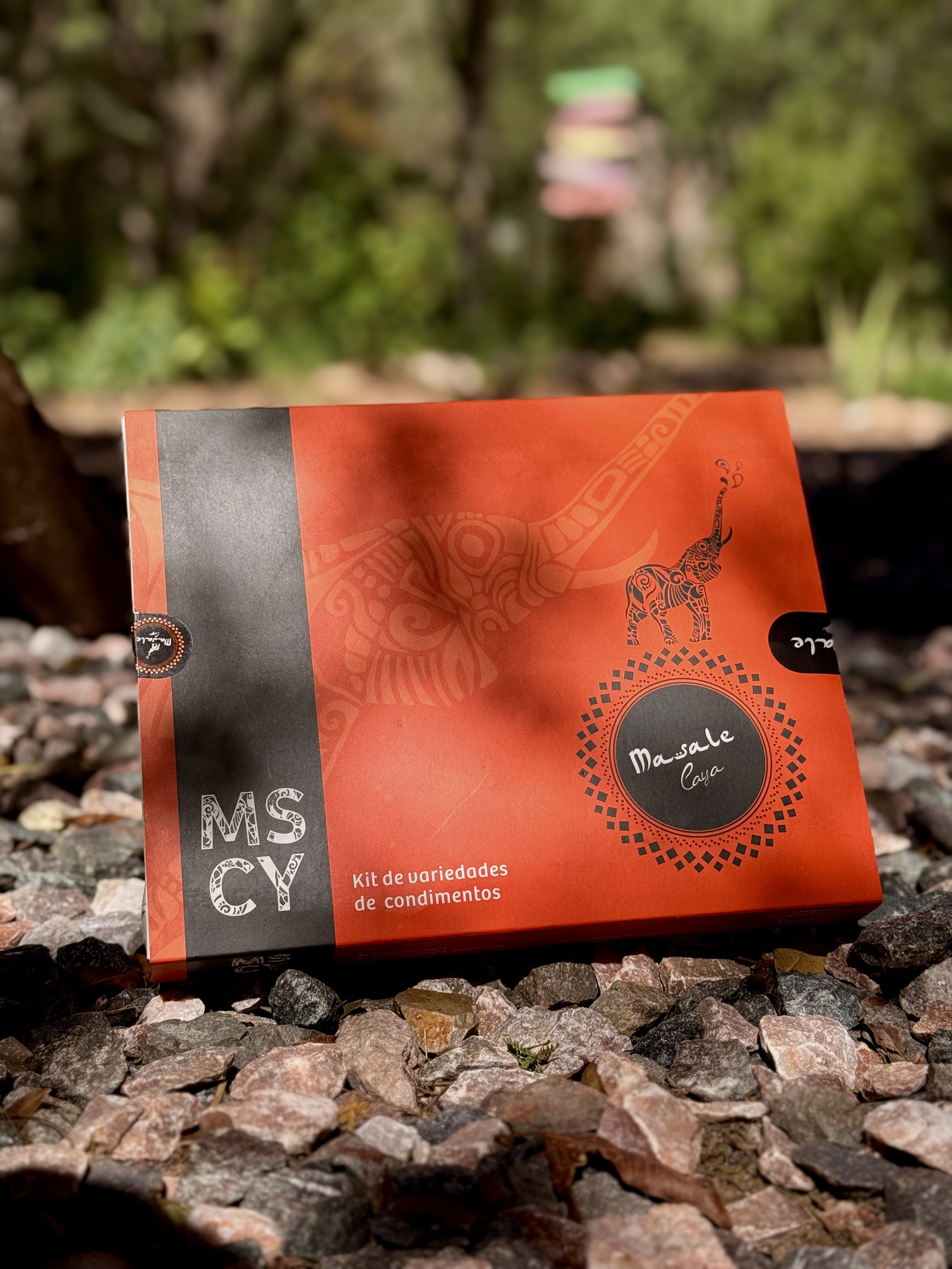 kit de 6 variedades de condimentos x 15g con Cuchara